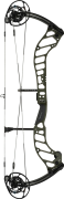 bowtech ascend